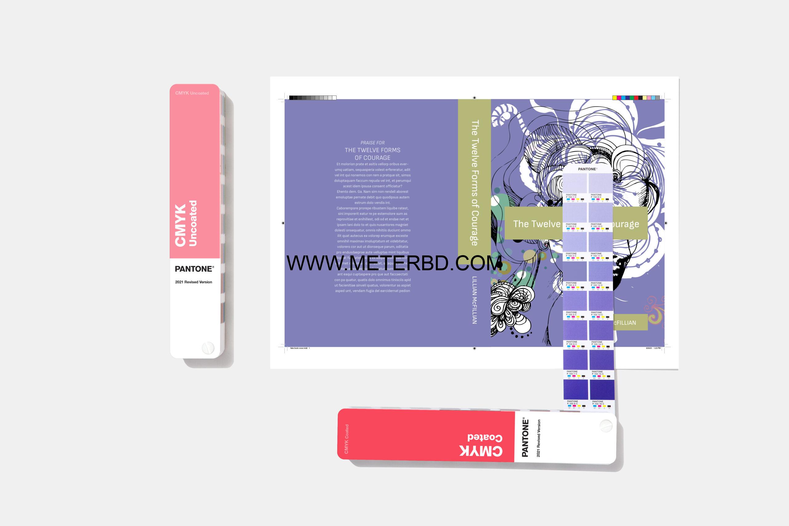 CU Pantone Book CMYK (GP5101B) - Image 3